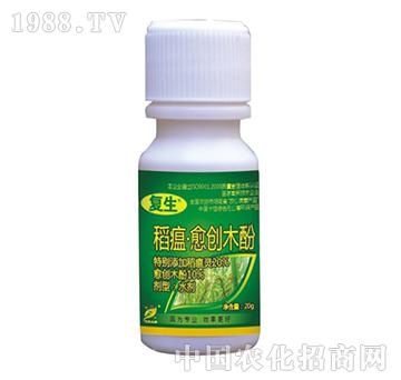 ��������(chu��ng)ľ��-��(f��)��-˼�h����