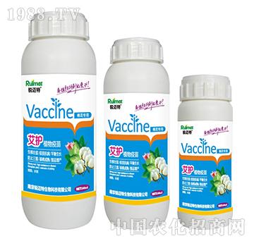 ���o(h��)ֲ�������޻���(zhu��n)��-�J�~��