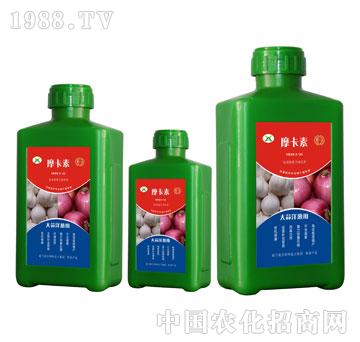 �������[���ð���������Һ�ķ�-Ħ����-��(qi��ng)о���H