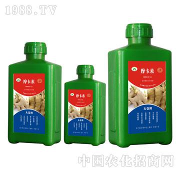 �󽪌��ð���������Һ�ķ�-Ħ����-��(qi��ng)о��(gu��)�H