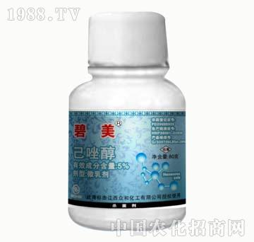 5%����-����-����