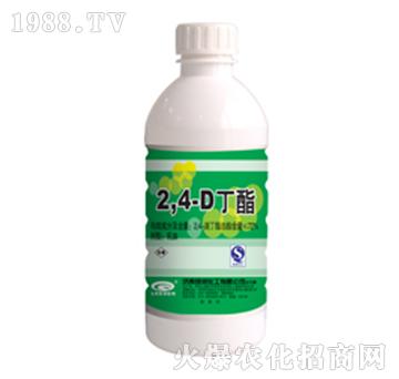 72%2��4�ζ���-�G��