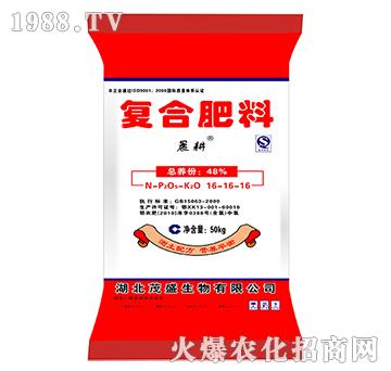 ��(f��)�Ϸ���16-16-16-ïʢ