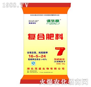 ��������ͺϷ���16-5-24-�V�A��-ïʢ