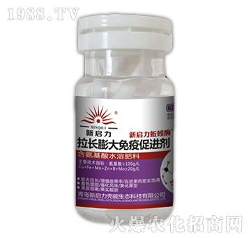 ���L������ߴ��M(j��n)��-��