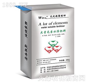 PE�y�ڴ�5-�E��