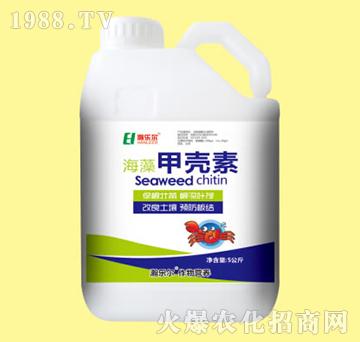 ����ך���-嫘���