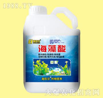 ������5kg-嫘���