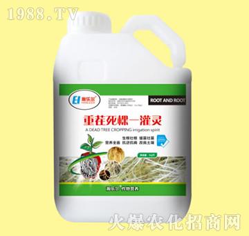 �ز�����һ���`-嫘���