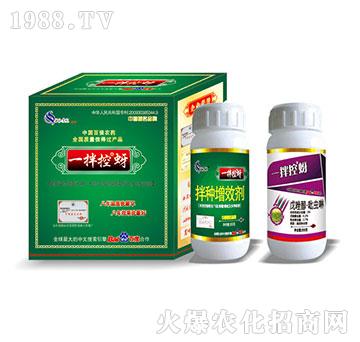 һ�����ϵ�зN��-�읙(r��n)����