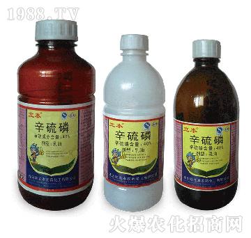 40%����������-��������