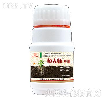 1000g��ˬ-����-������