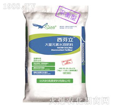 ����Ԫ��ˮ�ܷ�20-20-20+CTE-������-���r(n��ng)�Y