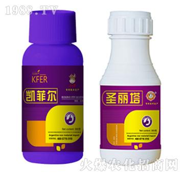 �{��(ji��)��-�P�Ơ�+ʥ����-�����r�I(y��)