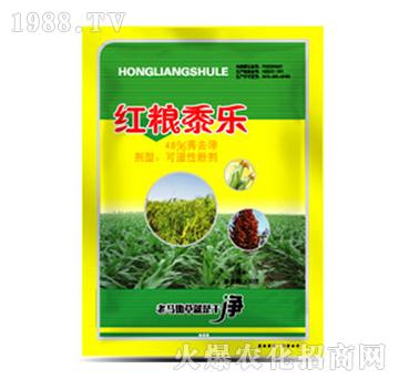 48%ݬȥ��-�t�Z��-�����r(n��ng)�I(y��)