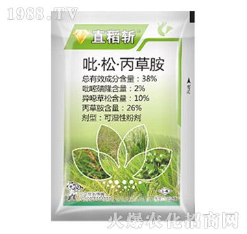 38%�����ɡ����ݰ�-ֱ����-��Ѹ