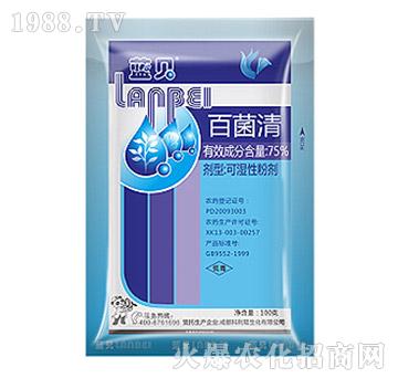 75%�پ���-�{ؐ-��Ѹ