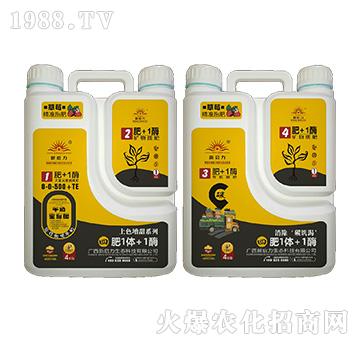 ��ݮ���ã���ɫ����-