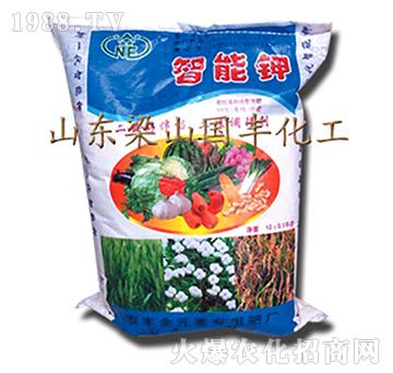 ����⛣�����-��ɽ��(gu��)�S