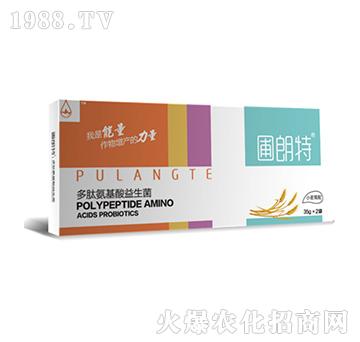 С������-���İ�����������-������