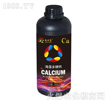 ��������}-�P�L��