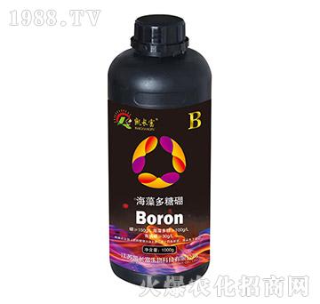 ��������𣨺ڣ�-�P�L��