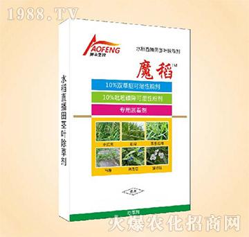 10%�p����-ħ��-ͬ�S