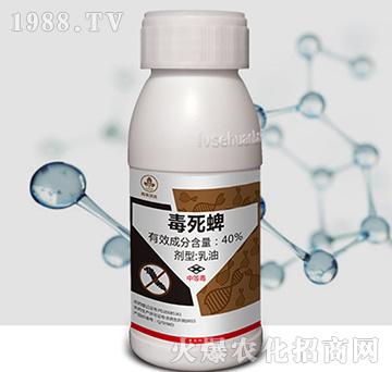 40%������-�к����_