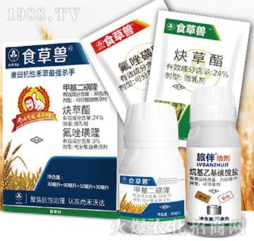 ʳ�ݫF�M��-�к����_