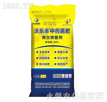 �֘��S��ˎ����-����