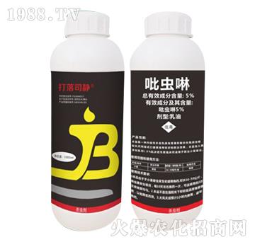 5%���x��-����˾�o-��(gu��)�˸�