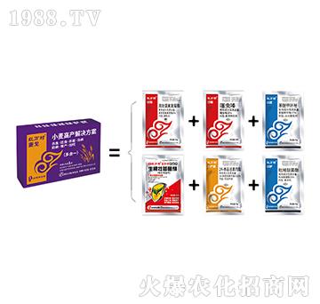 С��һ������-����M��-���˹����r(n��ng)��