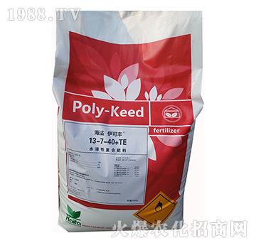 ˮ���ԏͺϷ���13-7-40+TE-���������S-����