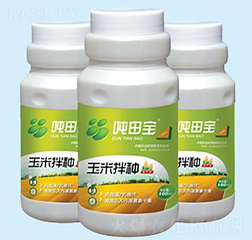 ���װ�N������-���-�����S��