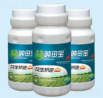 �����������a(ch��n)��-���-�����S��