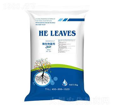 �ߵ���΢�������-���~-����ʩ