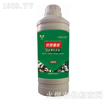 �޻������~���-�������Z