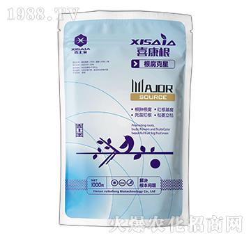 ��������-ϲ����-ϲ�ϼ�