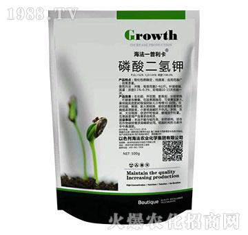 ��������-������