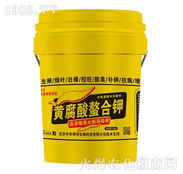 �S���������-���w�r�I(y��)