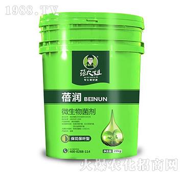 �������~��΢�������-�흙-�����