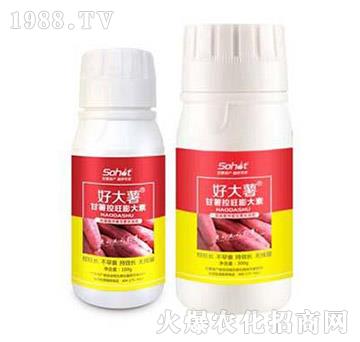 �������������-�ô���-���A����