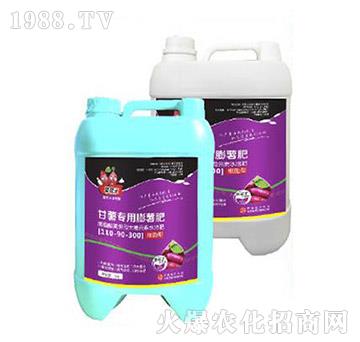 ���팣�������ʣ�500g��-�����-���A����