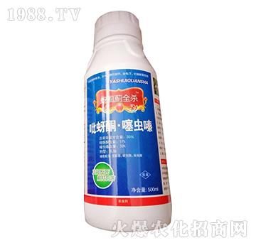 50%����ͪ�����x�-��ʭ�Eȫ��-�W�ρ�