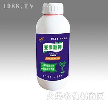 �������-���w�r�I(y��)