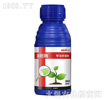 ��ù�����Ú�����-���r��-�к�����