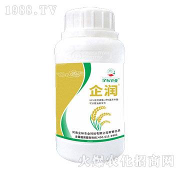 66%���׻�¡��2��4�Ȯ�����-��(r��n)-���(bi��o)