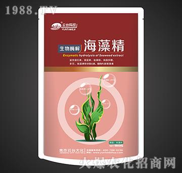 ����ø�⺣�徫���۽z���b��-���_(t��i)��