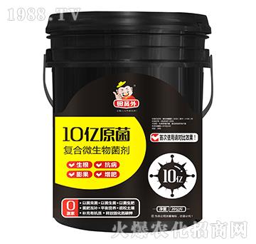 ��(f��)��΢�������-10�|ԭ��-�f(w��n)��