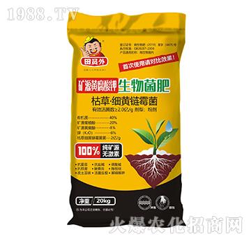 �VԴ�S������������-��T��-�f��